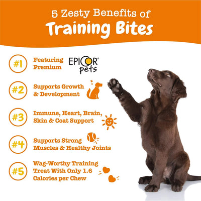 All-in-One Training Treats for Dogs, 8 oz Dry Soft Chews BB 04/25