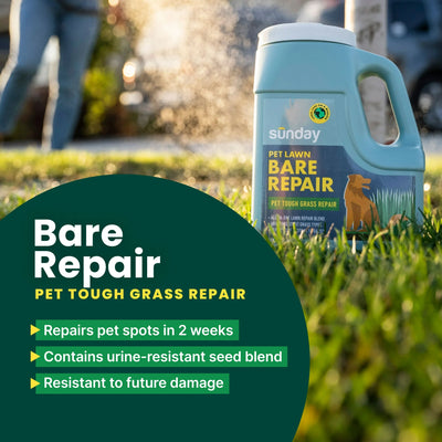 Sunday Bare Repair: Pet Lawn Grass Seed + Lawn Treatment, 3.75 lb, Sun & Shade