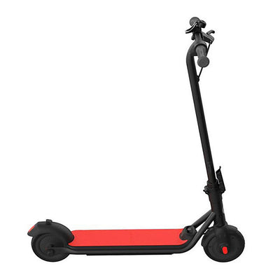 Segway C15 Youth Electric Kick Scooter – Jackpot Discount Store